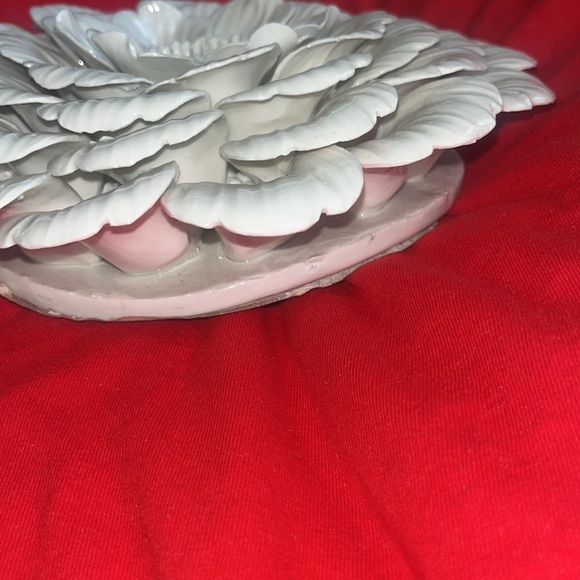 Tozai - Picture 6 of 9